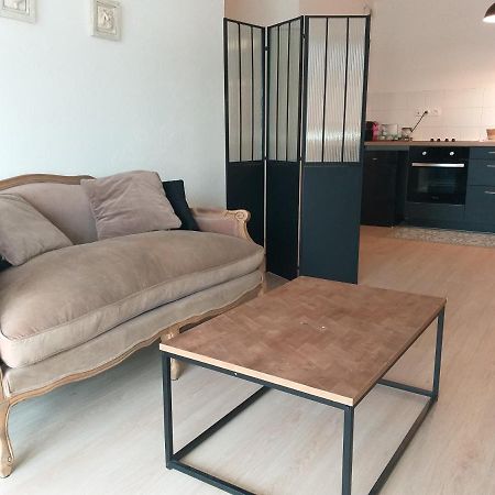 Le Savoie Appartement 2 Chambres 3 Couchages ,Balcon Et Parking Prive بيليغارد-سور-فالسيرين المظهر الخارجي الصورة