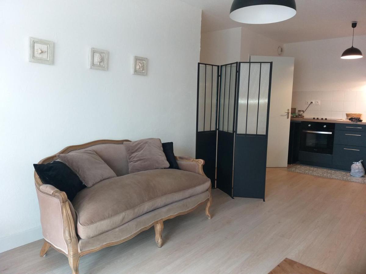 Le Savoie Appartement 2 Chambres 3 Couchages ,Balcon Et Parking Prive بيليغارد-سور-فالسيرين المظهر الخارجي الصورة